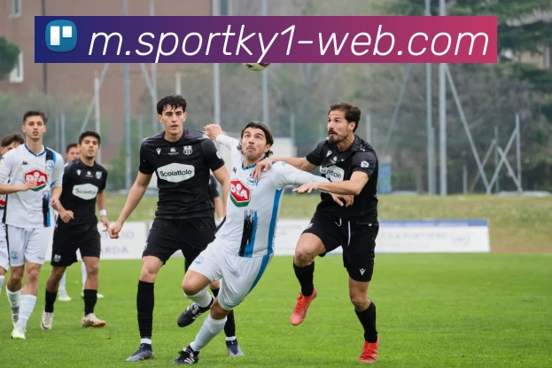 开云体育APP 高清赛事图